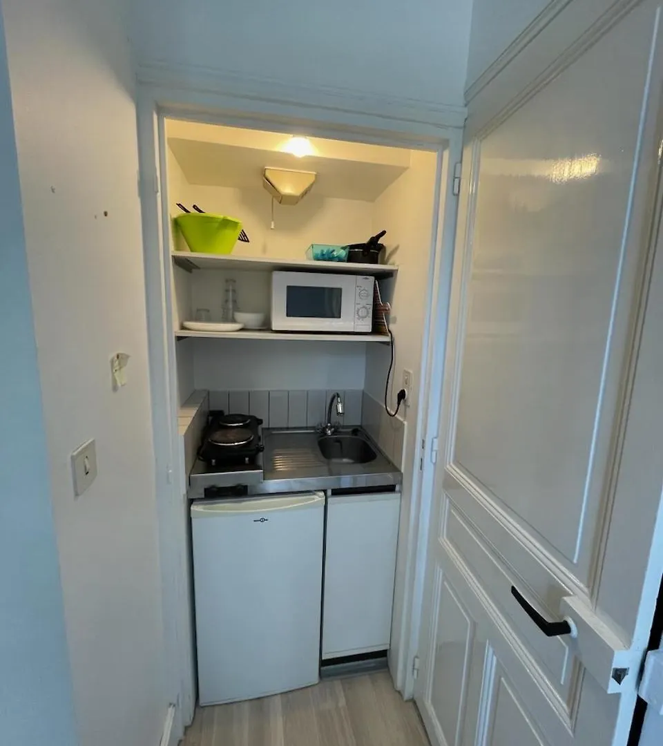 Le Castel Lily 2 - Hypercentre - Face Aux Parcs - Immeuble De Caractere Apartment Vichy France