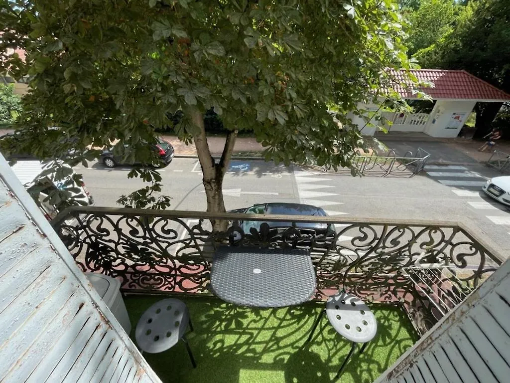 Le Castel Lily 2 - Hypercentre - Face Aux Parcs - Immeuble De Caractere Apartment Vichy